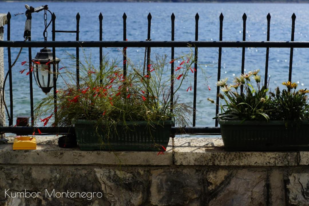 Apartments Batricevic Herceg Novi Eksteriør bilde